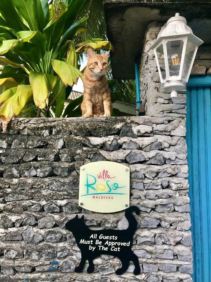 Villa Rosa Maldives Feridhoo Bagian luar foto
